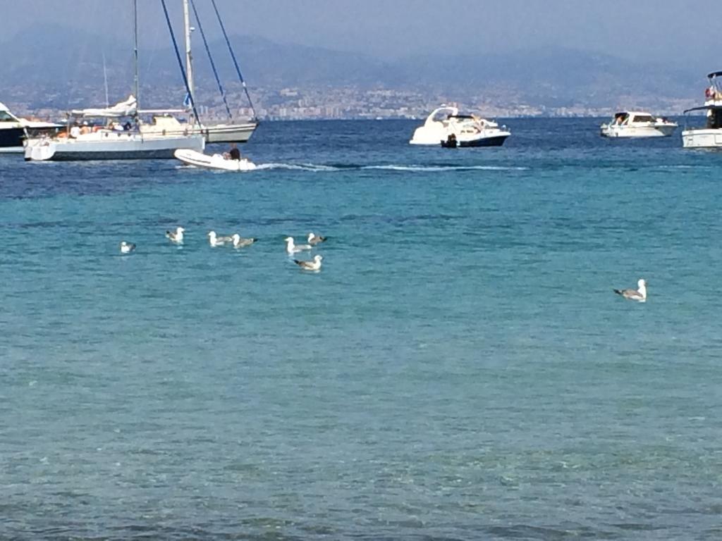 Casa Dade Villa Cannes Eksteriør billede