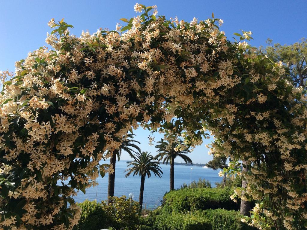 Casa Dade Villa Cannes Eksteriør billede