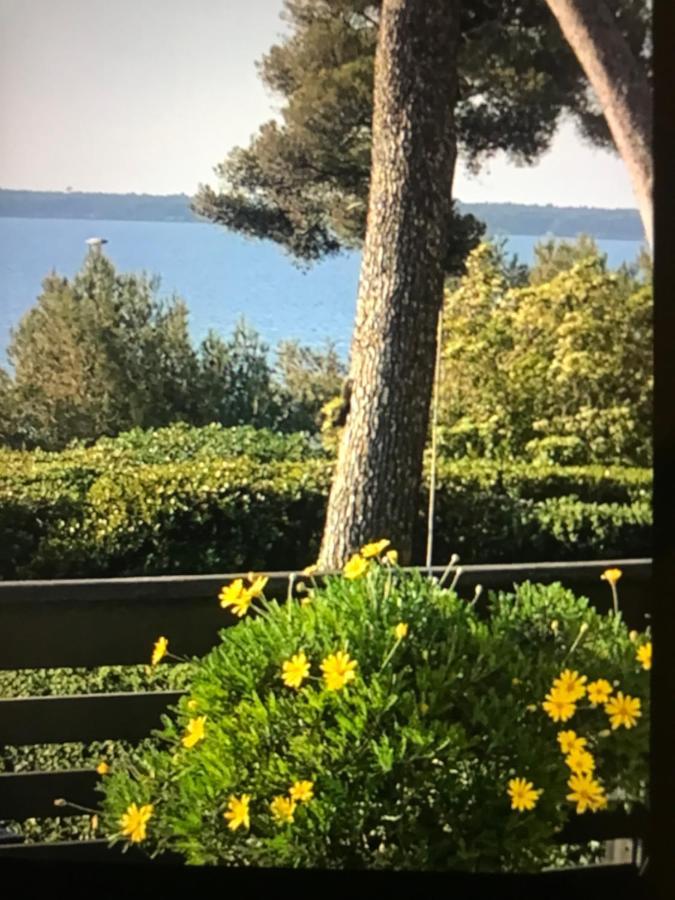 Casa Dade Villa Cannes Eksteriør billede